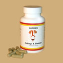 Kidneys and Bladder